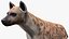Sammlung afrikanischer Tiere 11