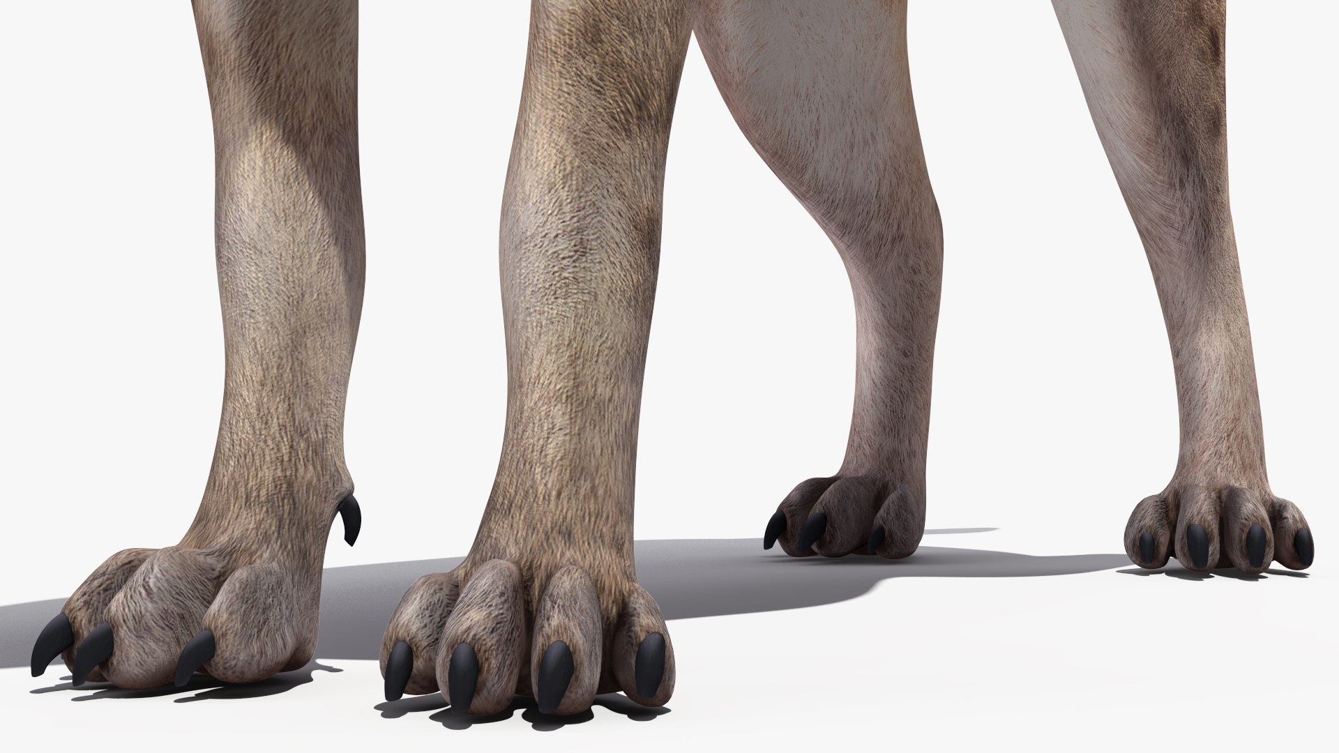 3D African Animals Collection 11 model https://p.turbosquid.com/ts-thumb/90/1il4xS/sf/africananimalscollection11mb3dmodel042/jpg/1662901662/1920x1080/fit_q87/784838cf5c9dcf560d17b4110dba325f4f636eea/africananimalscollection11mb3dmodel042.jpg