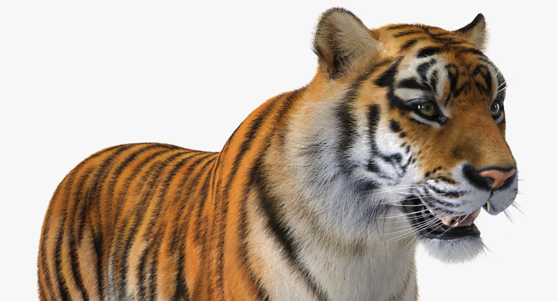 3D African Animals Collection 11 model https://p.turbosquid.com/ts-thumb/90/1il4xS/uX/africananimalscollection11mb3dmodel112/jpg/1662901926/1920x1080/fit_q87/b60d70ab4c03442b58c86716e7374b775e0510e5/africananimalscollection11mb3dmodel112.jpg