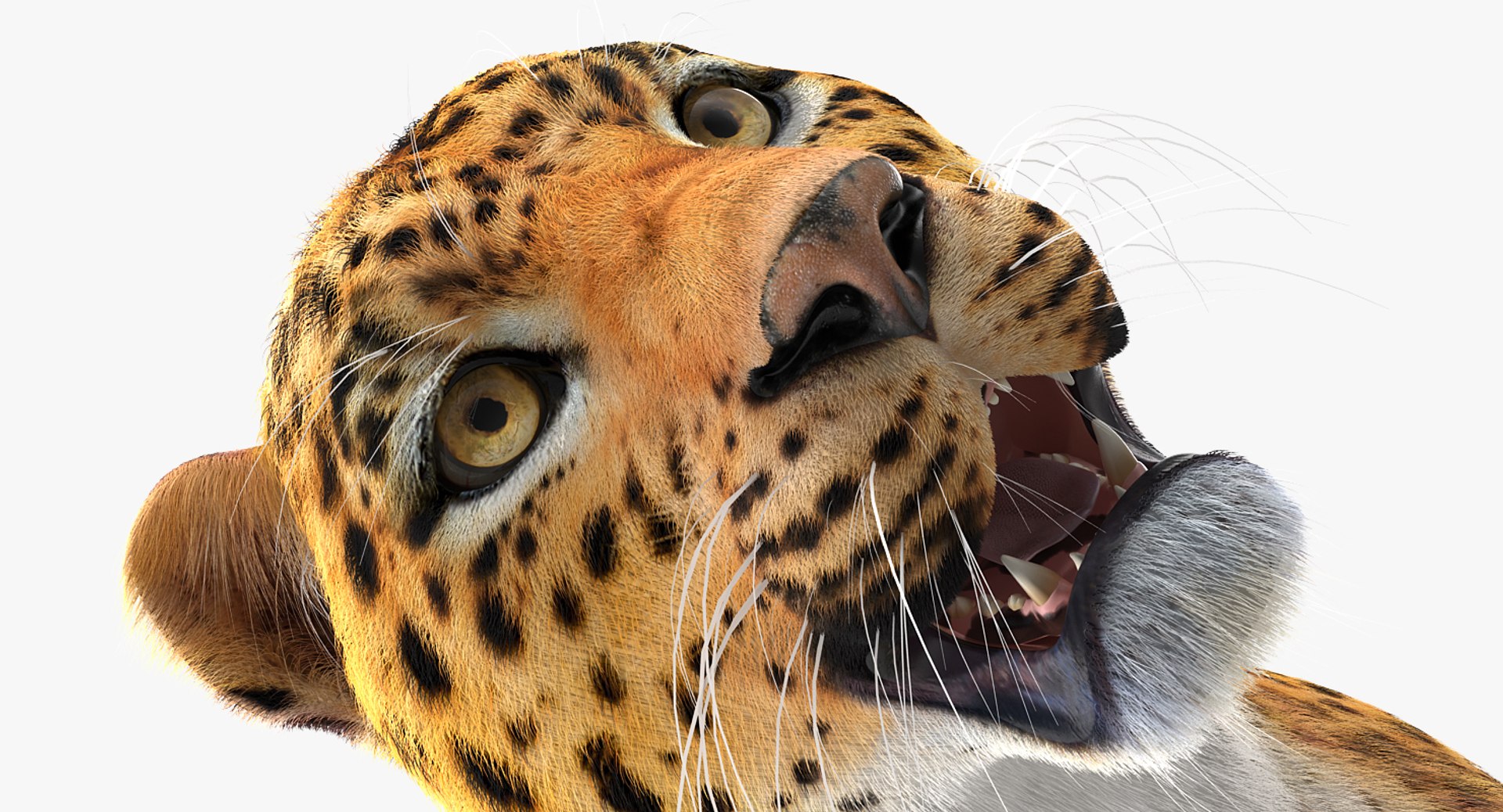 3D African Animals Collection 11 model https://p.turbosquid.com/ts-thumb/90/1il4xS/wA/africananimalscollection11mb3dmodel105/jpg/1662901901/1920x1080/fit_q87/6611cb387f5e74d2fcab25d481247dda19b1d283/africananimalscollection11mb3dmodel105.jpg