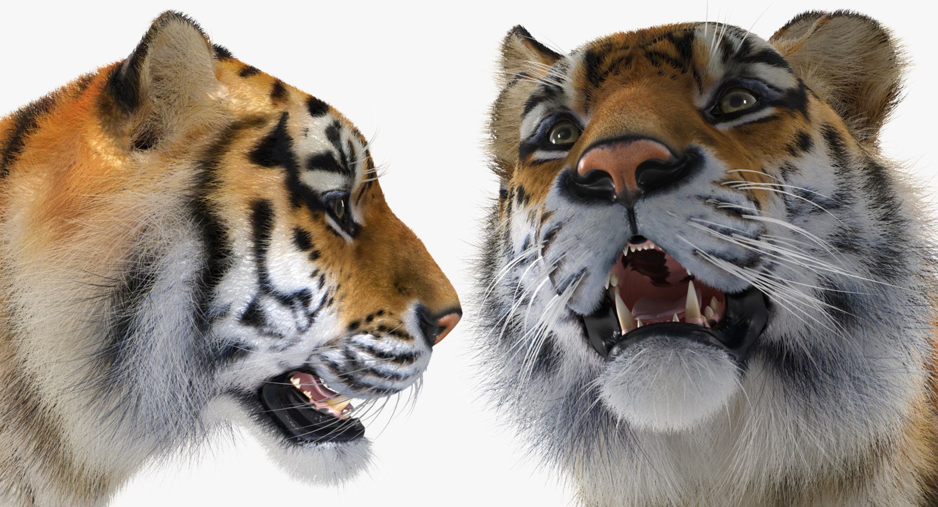 3D African Animals Collection 11 model https://p.turbosquid.com/ts-thumb/90/1il4xS/wN/africananimalscollection11mb3dmodel114/jpg/1662901933/1920x1080/fit_q87/bcd969041e0eef1b7243c15344007e9d051d2ddc/africananimalscollection11mb3dmodel114.jpg