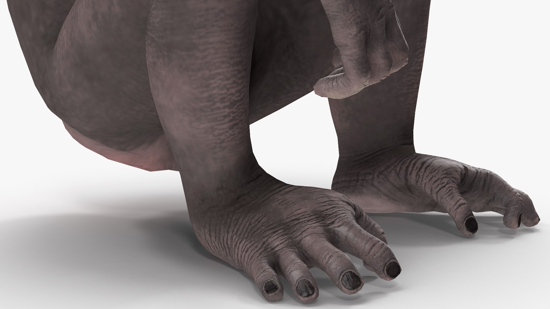 3D African Animals Collection 11 model https://p.turbosquid.com/ts-thumb/90/1il4xS/wx/africananimalscollection11mb3dmodel074/jpg/1662901790/1920x1080/fit_q87/b4bfb3b258782a16960c3362d4ff56c629cba2ed/africananimalscollection11mb3dmodel074.jpg