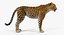 Sammlung afrikanischer Tiere 11