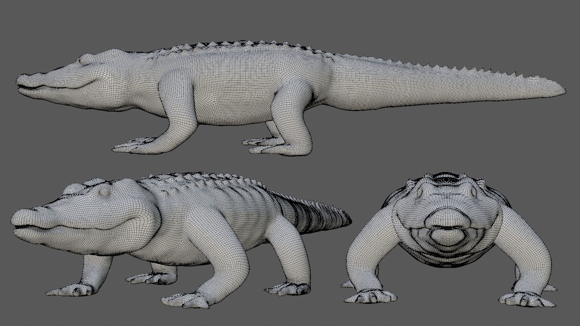 Alligator 3D Model - TurboSquid 1737428