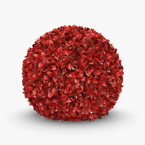 Hedge 01 (Red)