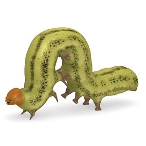caterpilar1