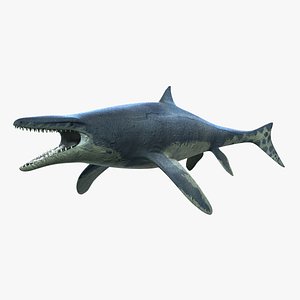Wakayama Blue Dragon mosasaur 3D
