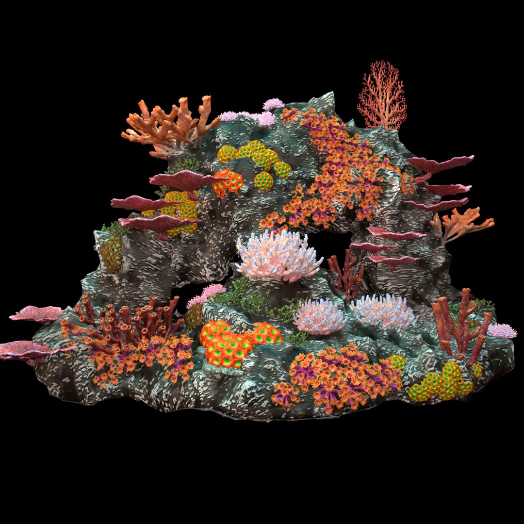 3d coralreef coral reef model https://p.turbosquid.com/ts-thumb/90/Mo0Cc1/24w6dx2A/06/jpg/1486096416/1920x1080/fit_q87/39af098607fd4c018d2d137497ab5594683184b6/06.jpg
