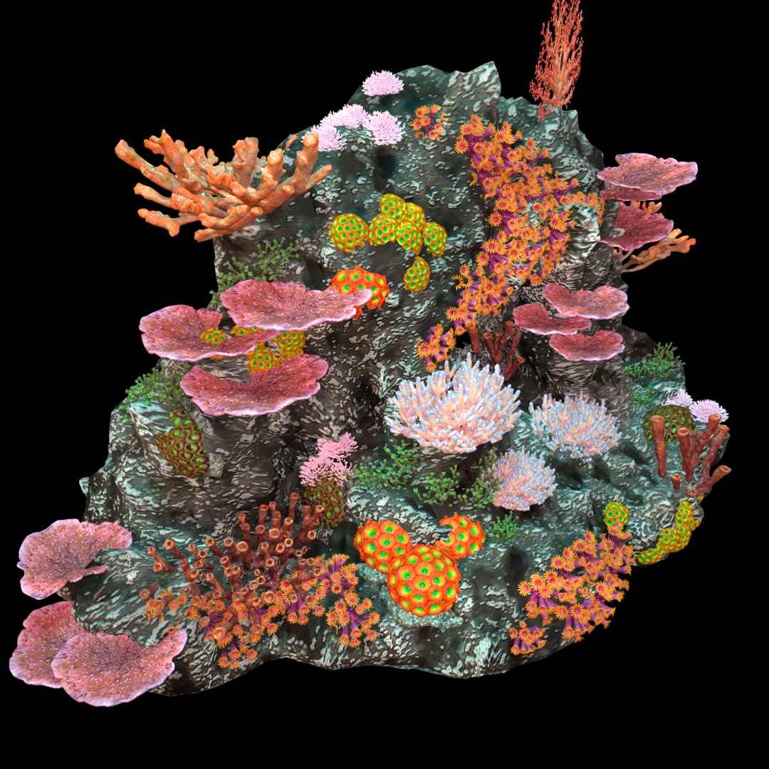 3d coralreef coral reef model https://p.turbosquid.com/ts-thumb/90/Mo0Cc1/EMjhOt3N/08/jpg/1486096416/1920x1080/fit_q87/ba8b9e79a9c84e6f7b4f929f85e2ab8794cc8bd4/08.jpg