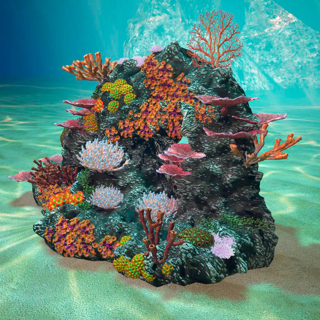 3d coralreef coral reef model