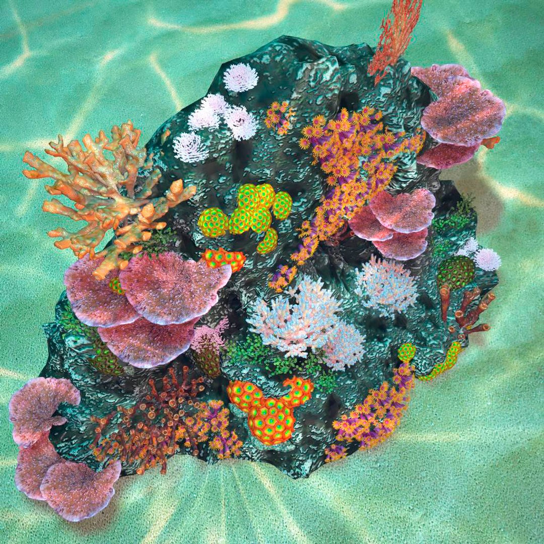3d coralreef coral reef model https://p.turbosquid.com/ts-thumb/90/Mo0Cc1/MmkS40Zx/04/jpg/1486096416/1920x1080/fit_q87/96a5f00adff498f0a851cf3adc9199a7431864ee/04.jpg