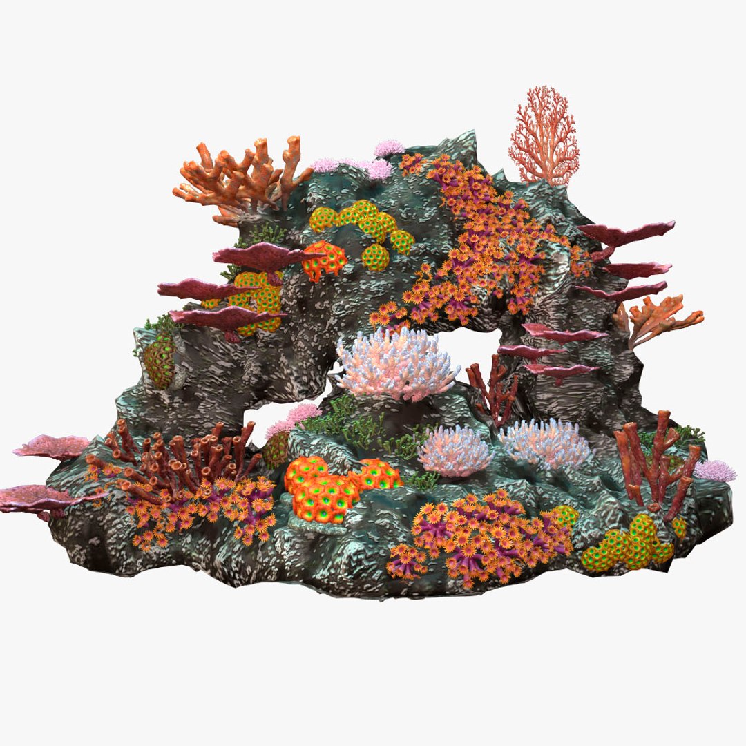 3d coralreef coral reef model https://p.turbosquid.com/ts-thumb/90/Mo0Cc1/T55CFOEM/05/jpg/1486096416/1920x1080/fit_q87/0d96bc1a5b73c3117bb0853df31a7b4bdc47e02e/05.jpg