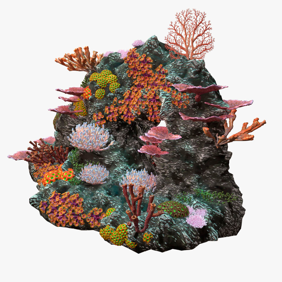 3d coralreef coral reef model