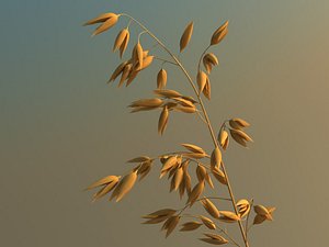 oats 3d max