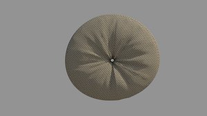 Sofa Pillow