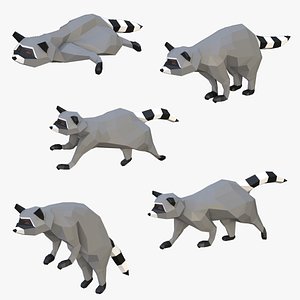 3D Raccoon