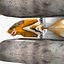 T-Fighter Spacefighter