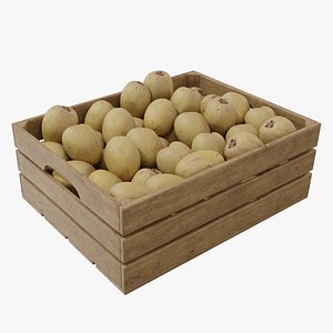 Sapodilla crates 3D model