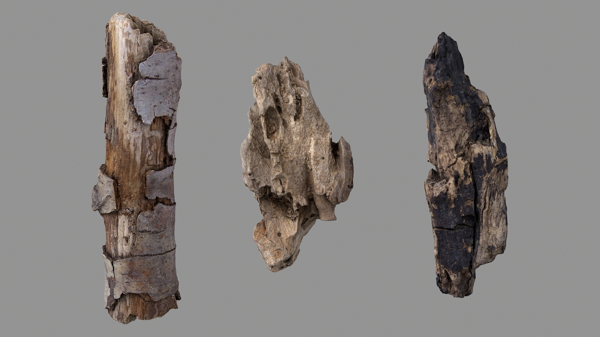 3D Twigs Collection https://p.turbosquid.com/ts-thumb/91/2LlMJK/MA/twigscoltbatwo/jpg/1665042476/1920x1080/turn_fit_q99/e73375e1b0782c16f6c342c1f806826fa8f0bc80/twigscoltbatwo-1.jpg
