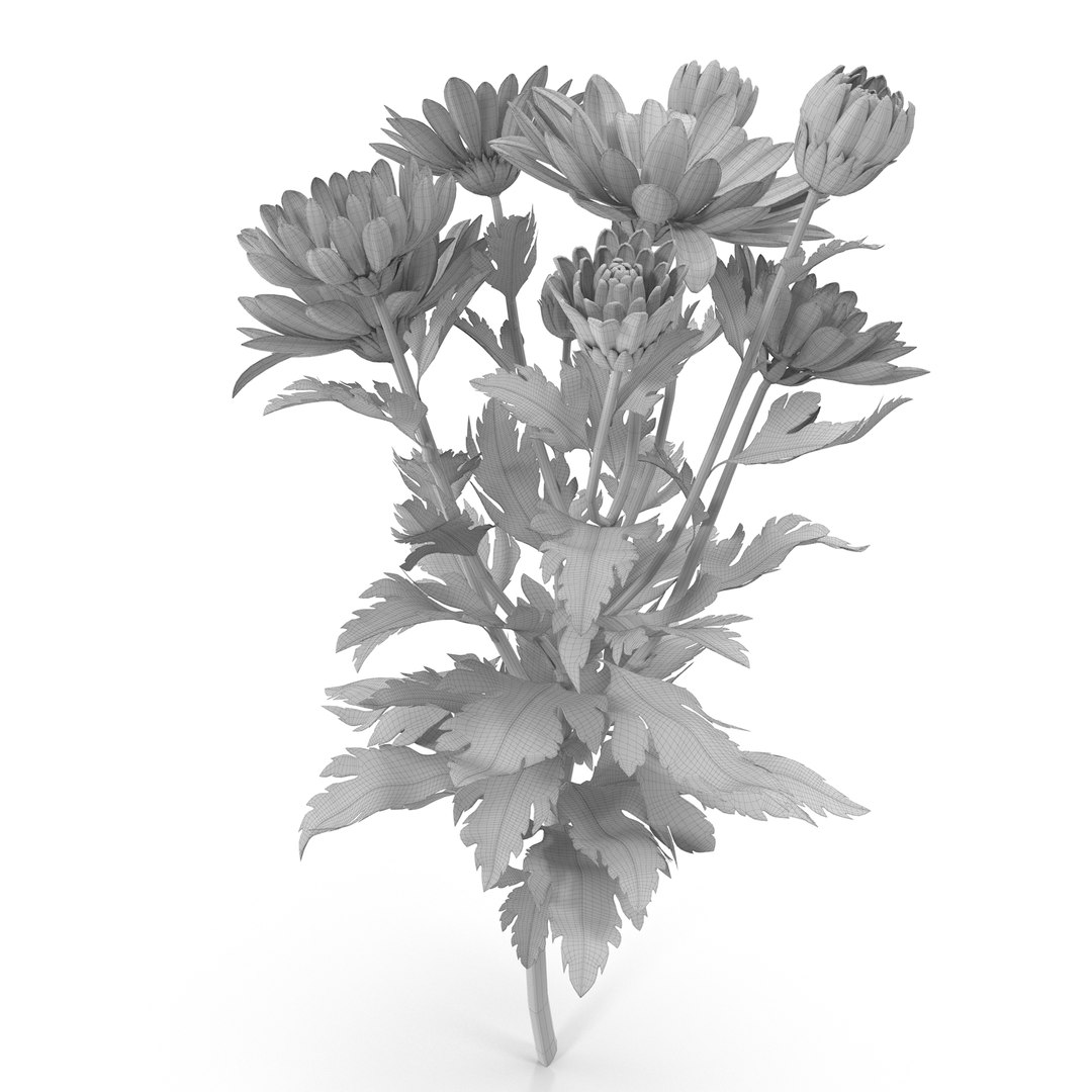 pink chrysanthemum max https://p.turbosquid.com/ts-thumb/91/47IoRB/XSksRTXx/chrysanthemum2_1s2/jpg/1435431795/1920x1080/fit_q87/d780c8f68ccb0d2d7361676efca12a6574f7e8ee/chrysanthemum2_1s2.jpg