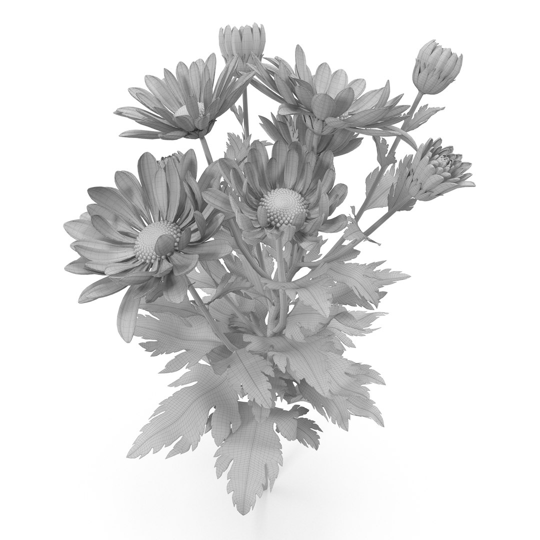 pink chrysanthemum max https://p.turbosquid.com/ts-thumb/91/47IoRB/w2kGuv1j/chrysanthemum2_1s/jpg/1435431795/1920x1080/fit_q87/ccfd78e93ccbc796dfe1511b6bdfa22ea6186b61/chrysanthemum2_1s.jpg