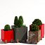 Stilt planter