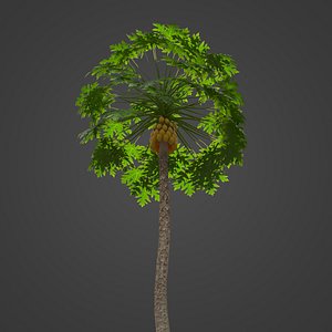 2021 PBR Papaya Collection - Carica Papaya