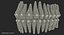 Teeth with Braces Model 3D