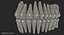 Teeth with Braces Model 3D