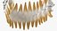 Teeth with Braces Model 3D