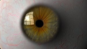 3d eyeball iris