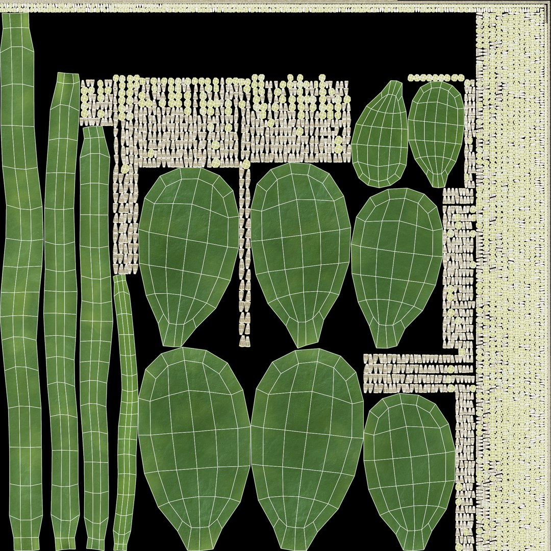 3D Cactuses model https://p.turbosquid.com/ts-thumb/91/XRvJW6/3T/opuntiauv/png/1690381809/1920x1080/fit_q87/ac31f9bd432ab845b4db3b18b1f3646eecb20642/opuntiauv.jpg