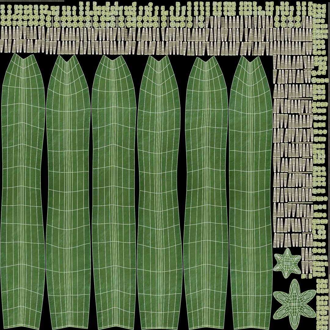 3D Cactuses model https://p.turbosquid.com/ts-thumb/91/XRvJW6/HA/sanpedrouv/png/1690381818/1920x1080/fit_q87/027c64e0a3f49b77ab4ac5a8ea7abdababe8d4e0/sanpedrouv.jpg