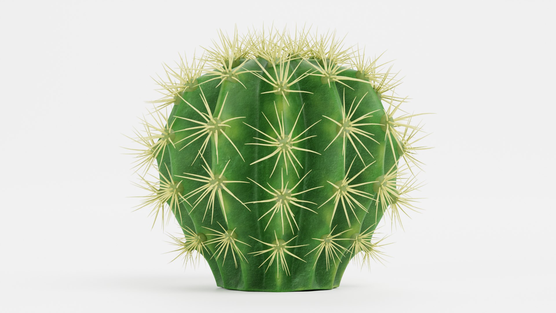 3D Cactuses model https://p.turbosquid.com/ts-thumb/91/XRvJW6/da/goldenbarrelc/png/1690381796/1920x1080/fit_q87/2fe6e3dfebfe7d5cc3c378b156debc7b0244749b/goldenbarrelc.jpg