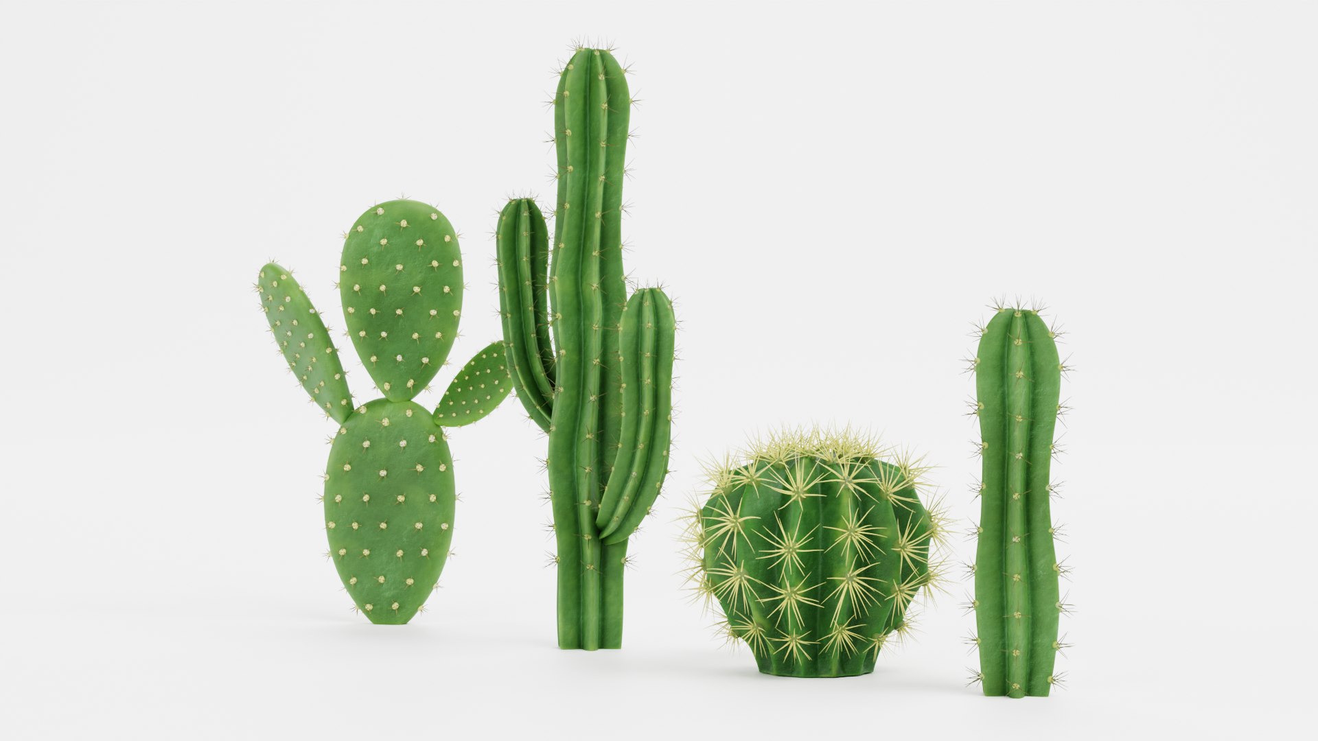 3D Cactuses model https://p.turbosquid.com/ts-thumb/91/XRvJW6/gb/cactusesd/png/1690381785/1920x1080/fit_q87/96d515e69ef2b74eabbcf7a6ec8cd9bd1a2d13f8/cactusesd.jpg