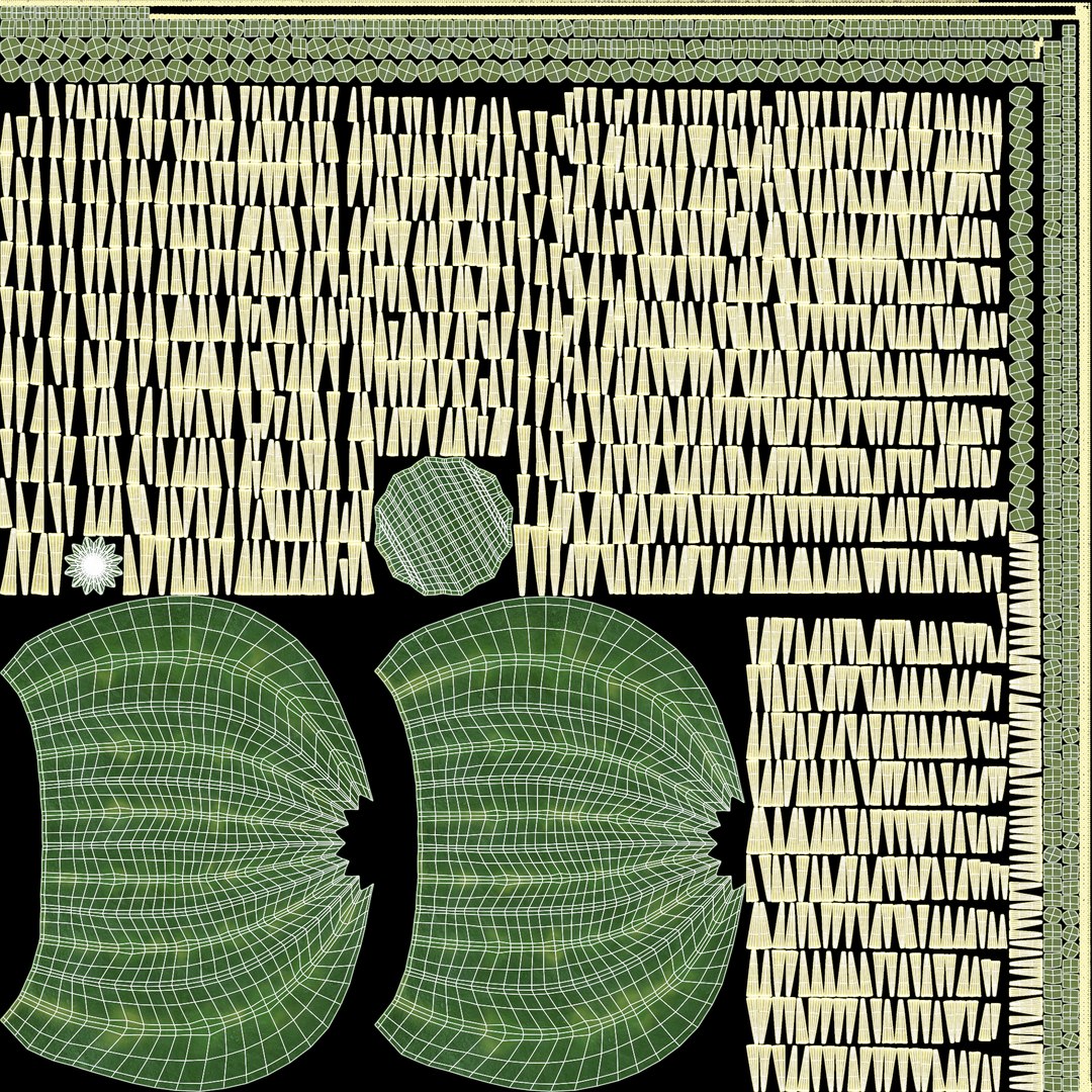 3D Cactuses model https://p.turbosquid.com/ts-thumb/91/XRvJW6/ia/goldenbarreluv/png/1690381801/1920x1080/fit_q87/8b38274728fdb86c1dce8ca76ed62e34c1bcc458/goldenbarreluv.jpg