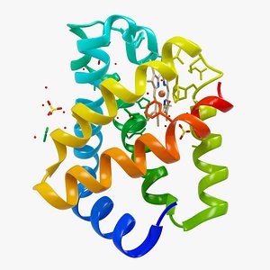 3D model Tertiary structure