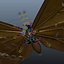 3d morpho blue butterflies model