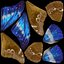 3d morpho blue butterflies model