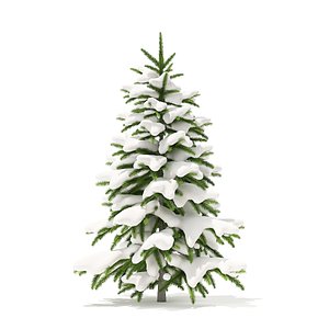 3D fir tree snow 1