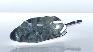 Ice Scoop
