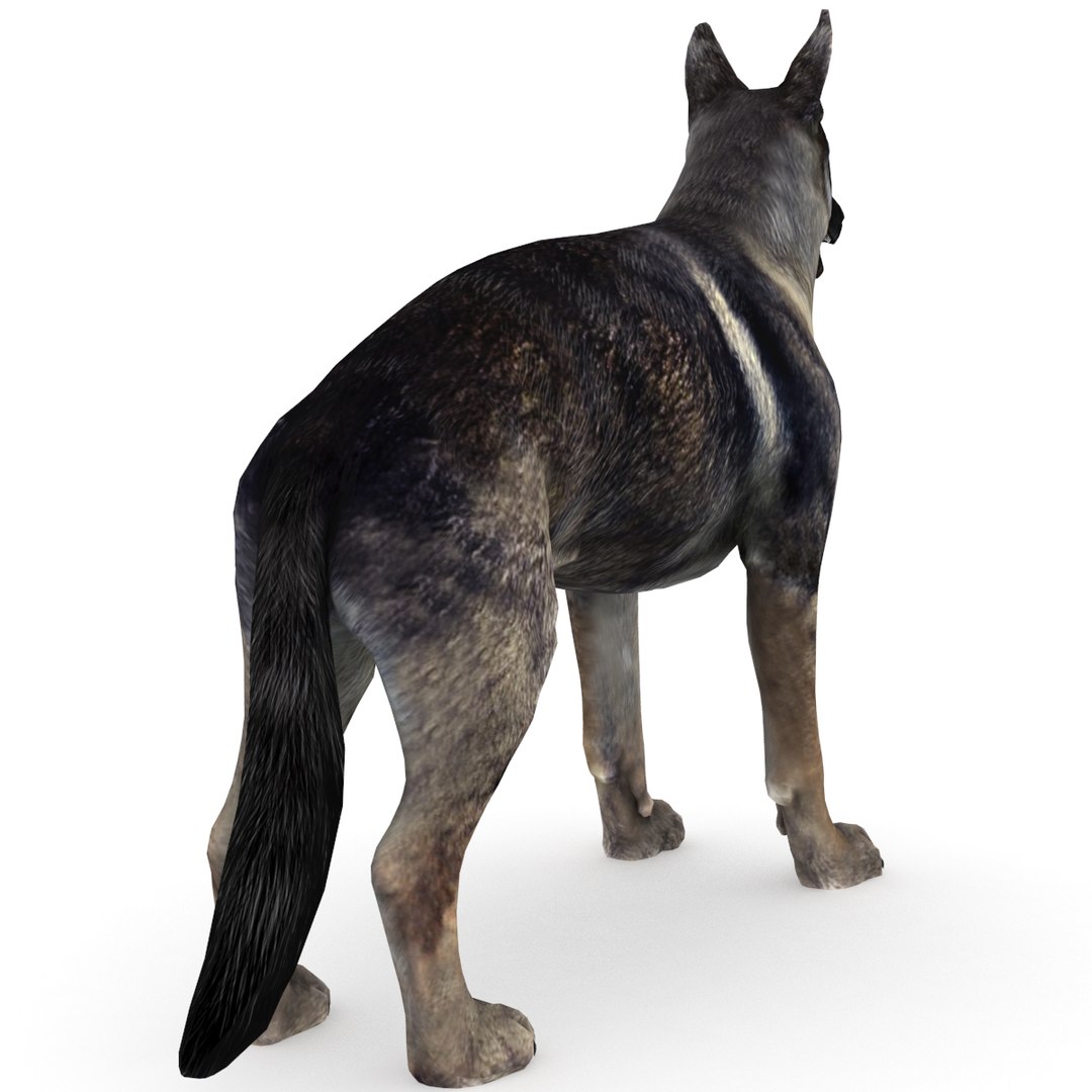 3D model german shepherd dog - TurboSquid 1445462
