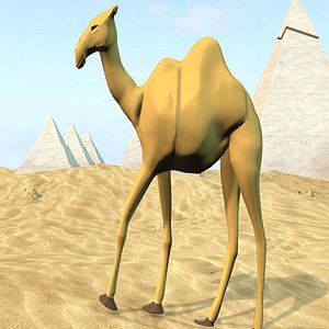 3D Walking Camel