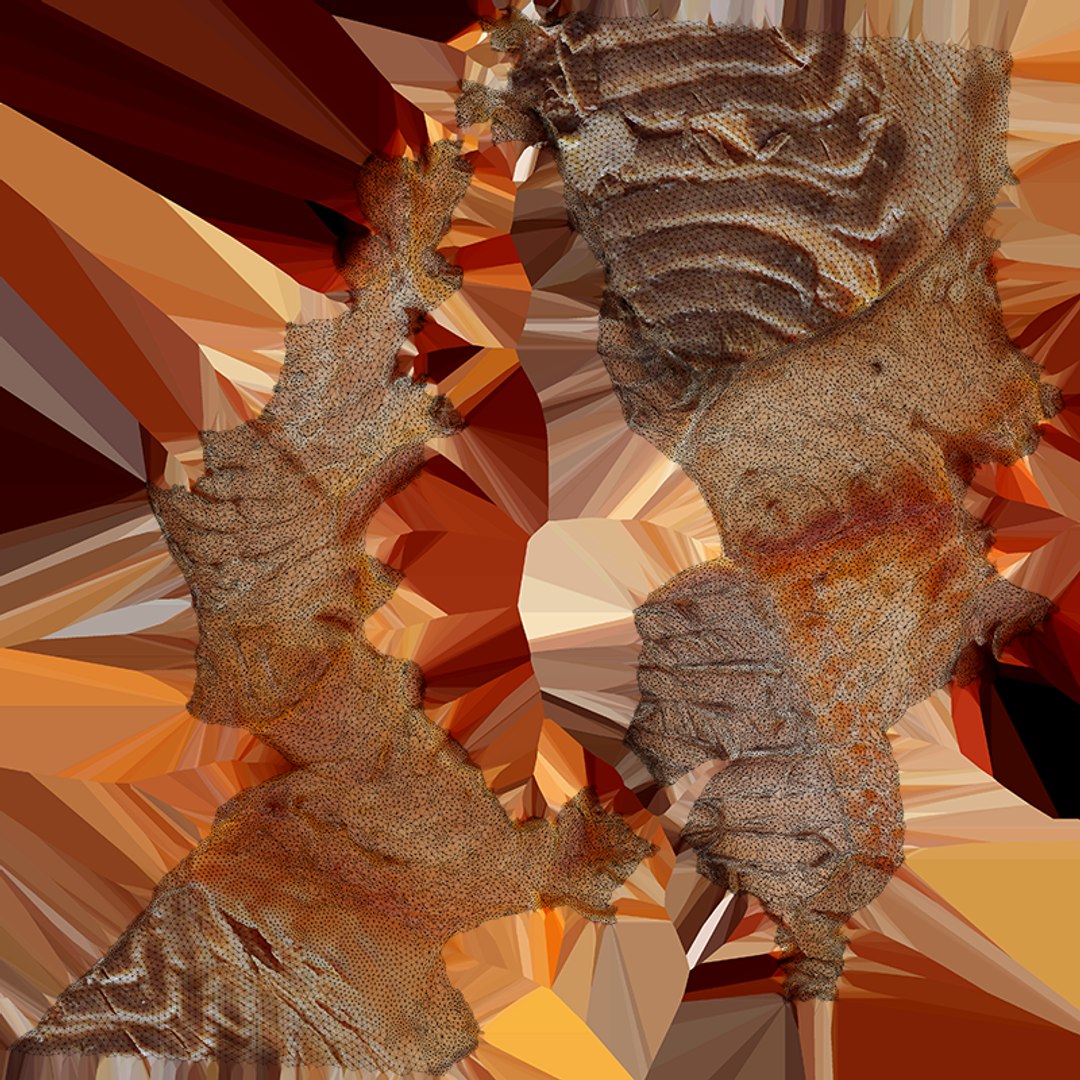Salmon Piece On Plate 3D model https://p.turbosquid.com/ts-thumb/91/gC2L4i/Q3/salmonpiece_c0004/png/1758199567/1920x1080/fit_q87/8dc66713e7075c8f6f8a53f8004c44fc28cc85b5/salmonpiece_c0004.jpg