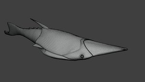 Pteraspis 3D model