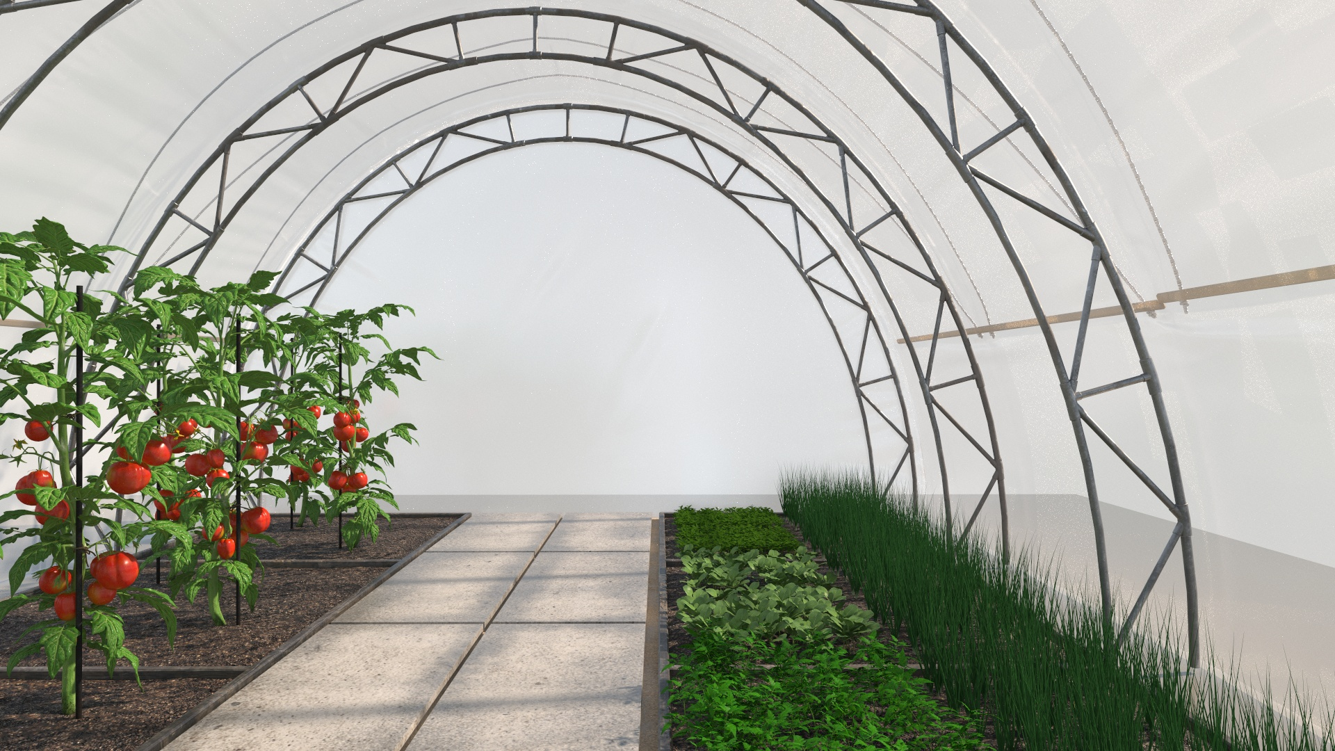 Greenhouse Tent with Vegetables model https://p.turbosquid.com/ts-thumb/91/jatNT8/EY/greenhouse_tent_with_vegetables_362/jpg/1737940436/1920x1080/turn_fit_q99/0f9707643d914011b0e0fe34f730b4a715a78784/greenhouse_tent_with_vegetables_362-1.jpg