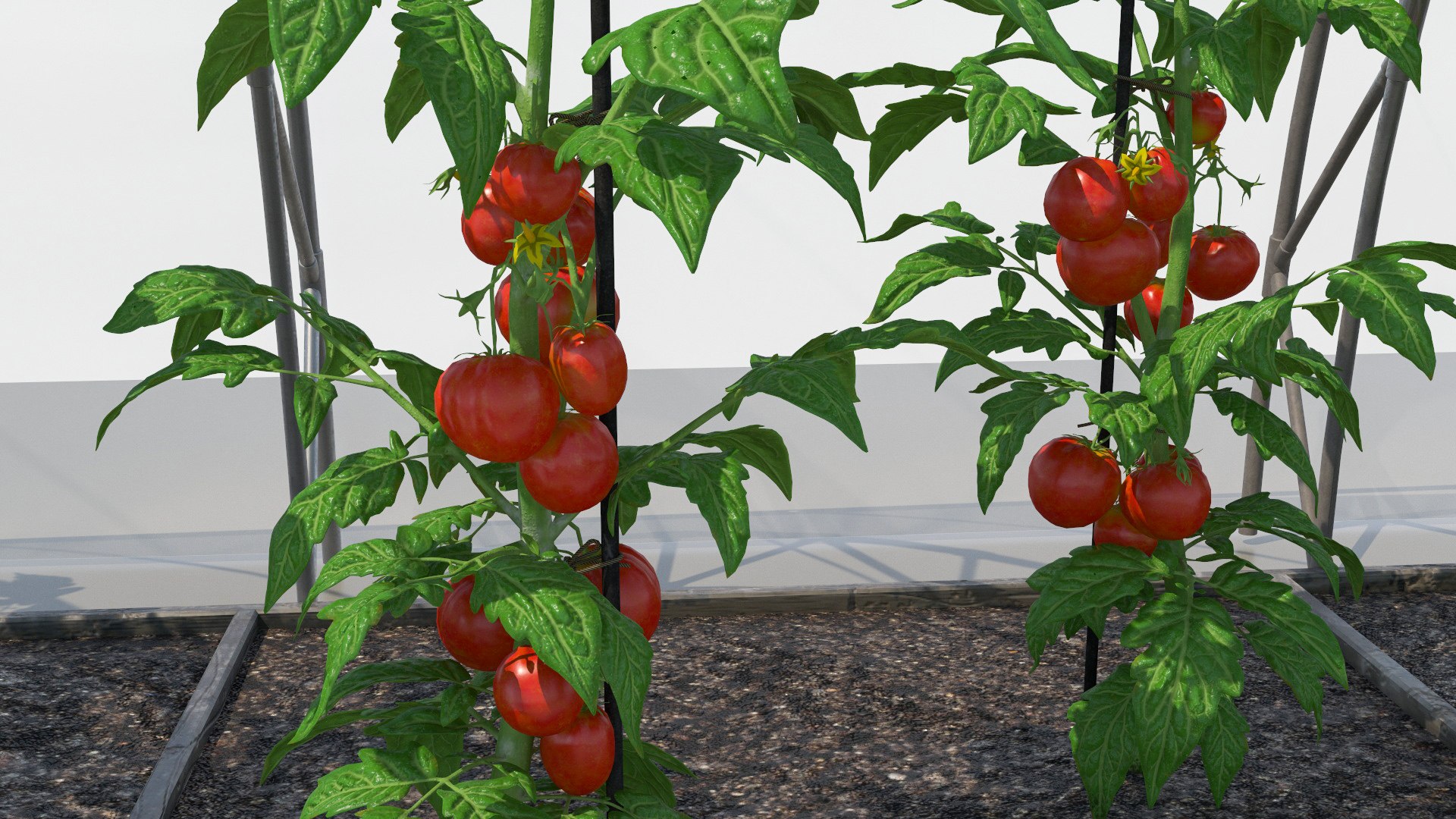 Greenhouse Tent with Vegetables model https://p.turbosquid.com/ts-thumb/91/jatNT8/UE/greenhouse_tent_with_vegetables_015/jpg/1737940694/1920x1080/fit_q87/37645258695eb36d81bc7370f11b5ec804407c8c/greenhouse_tent_with_vegetables_015.jpg