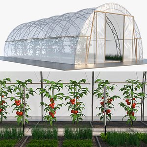 Greenhouse Tent with Vegetables