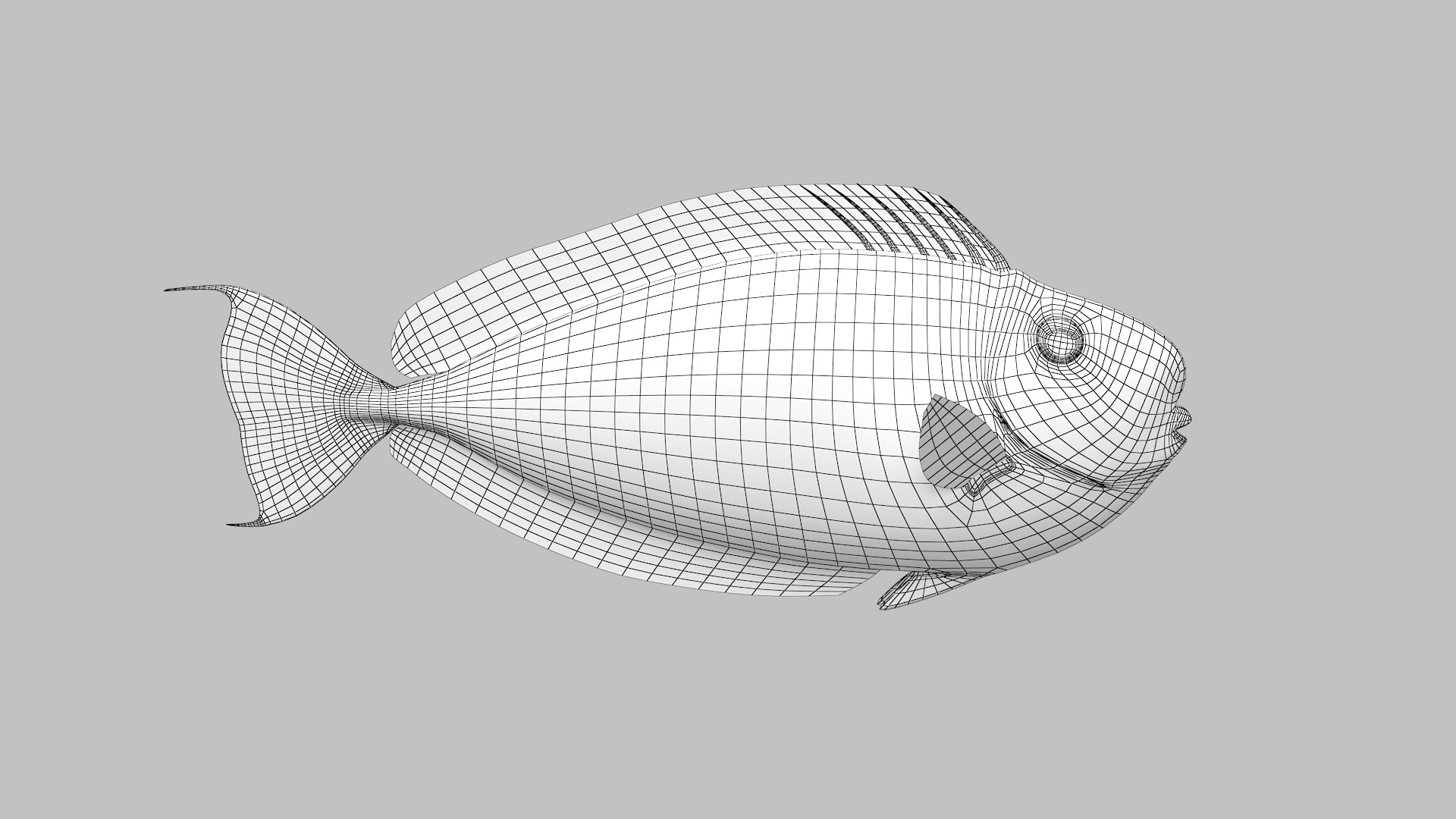 pbr fish wrasse snapper 3D model https://p.turbosquid.com/ts-thumb/91/kes61V/1rQWmbU1/bignoseunicornfish_r1w/png/1581446758/1920x1080/fit_q87/b9bbc9b10290b200d2bfbdf53ebc0e0923d16d4e/bignoseunicornfish_r1w.jpg