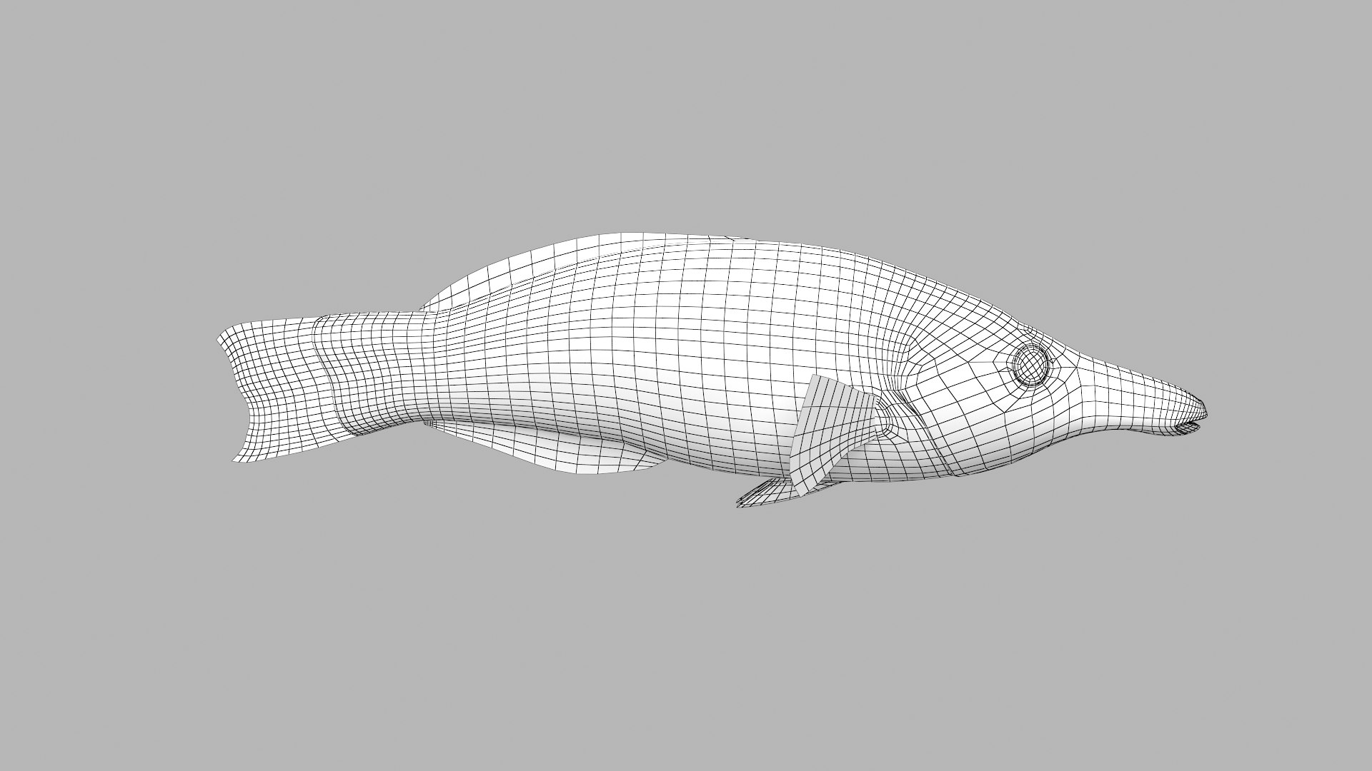 pbr fish wrasse snapper 3D model https://p.turbosquid.com/ts-thumb/91/kes61V/23iluXAG/birdwrasse_r1w/png/1581446758/1920x1080/fit_q87/7a4de08eff68fe6f75fd3e2e8b79bca369468b8a/birdwrasse_r1w.jpg